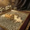 Original Natural Pyrite Horse Frame for Wealth, Success & Positive Energy | 2